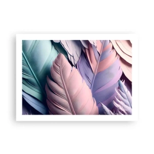 Affiche - Poster - Oiseau chic - 70x50 cm