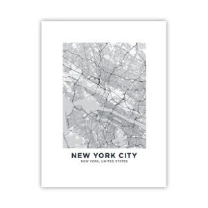 Affiche - Poster - Anatomie de la métropole - 30x40 cm