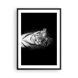 Affiche dans un cadre noir - Poster - Un tigre blanc dans une prise de vue contrastée sur un fond noir - 50x70cm - Sauvagerie et paix - Décoration murale moderne pour le salon et la chambre ARTTOR
