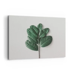 Impression sur toile - Image sur toile - Un brin de feuilles vertes sur un fond clair - 100x70cm - Dessin de la nature elle-même - Décoration murale moderne pour le salon et la chambre ARTTOR