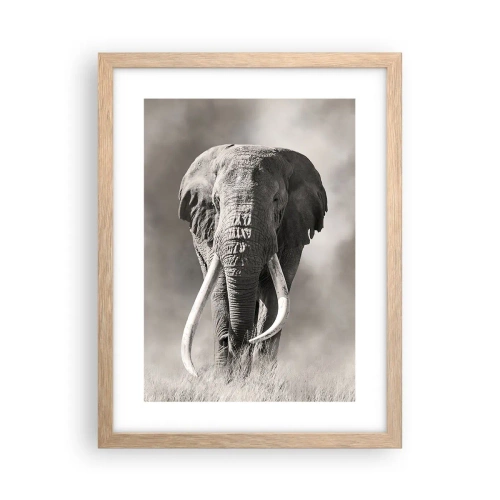 Affiche dans un chêne clair - Poster - Patriarche africain - 30x40 cm