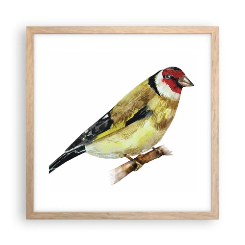 Affiche dans un chêne clair - Poster - Portrait d'oiseau - 40x40 cm