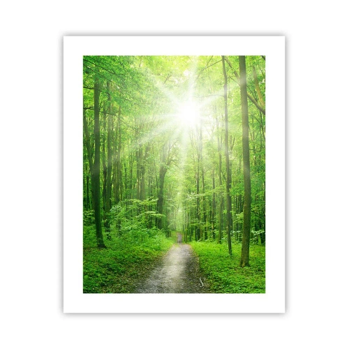 Affiche - Poster - Cathédrale verte - 40x50 cm