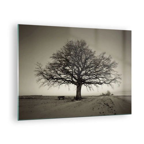 Impression sur verre - Image sur verre - Un arbre solitaire dans un paysage monochrome - 70x50cm - D'ici à l'éternité - Décoration murale moderne pour le salon et la chambre ARTTOR