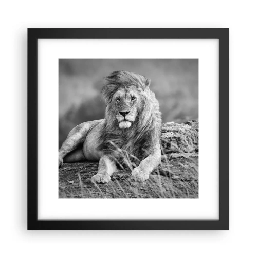 Affiche dans un cadre noir - Poster - Sieste royale - 30x30 cm