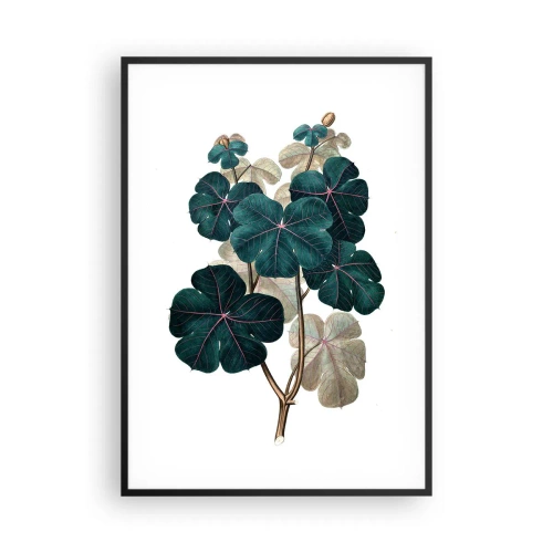 Affiche dans un cadre noir - Poster - De l'ancien herbier - 70x100 cm