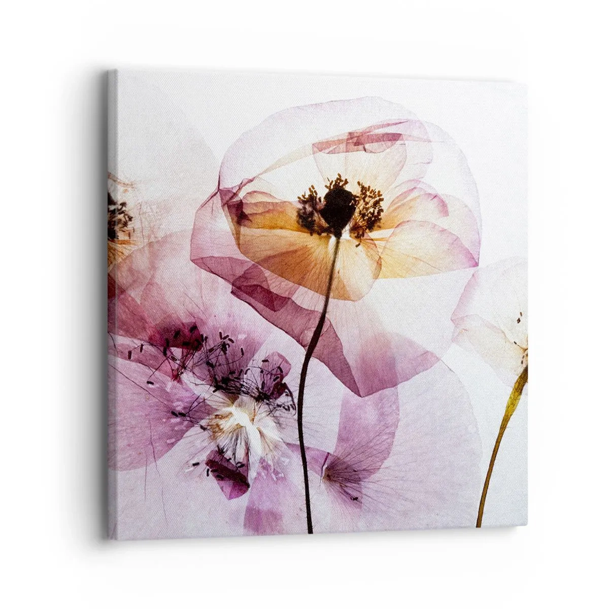 Impression sur toile - Image sur toile - Corps de fleurs transparente - 30x30 cm