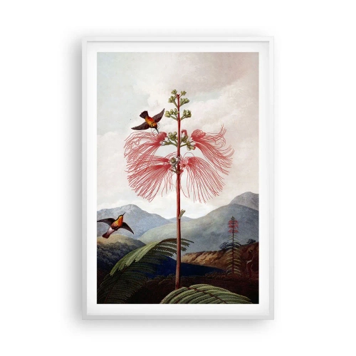 Affiche dans un cadre blanc - Poster - Dans un paradis tropical - 61x91 cm