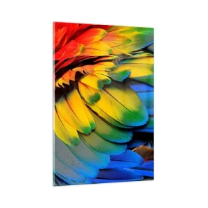 Impression sur verre - Image sur verre - Gros plan des plumes colorées d'un perroquet - 80x120cm - Oiseau de paradis - Décoration murale moderne pour le salon et la chambre ARTTOR