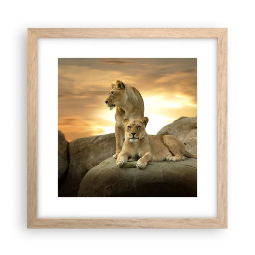 Affiche dans un chêne clair - Poster - Majesté royale - 30x30 cm