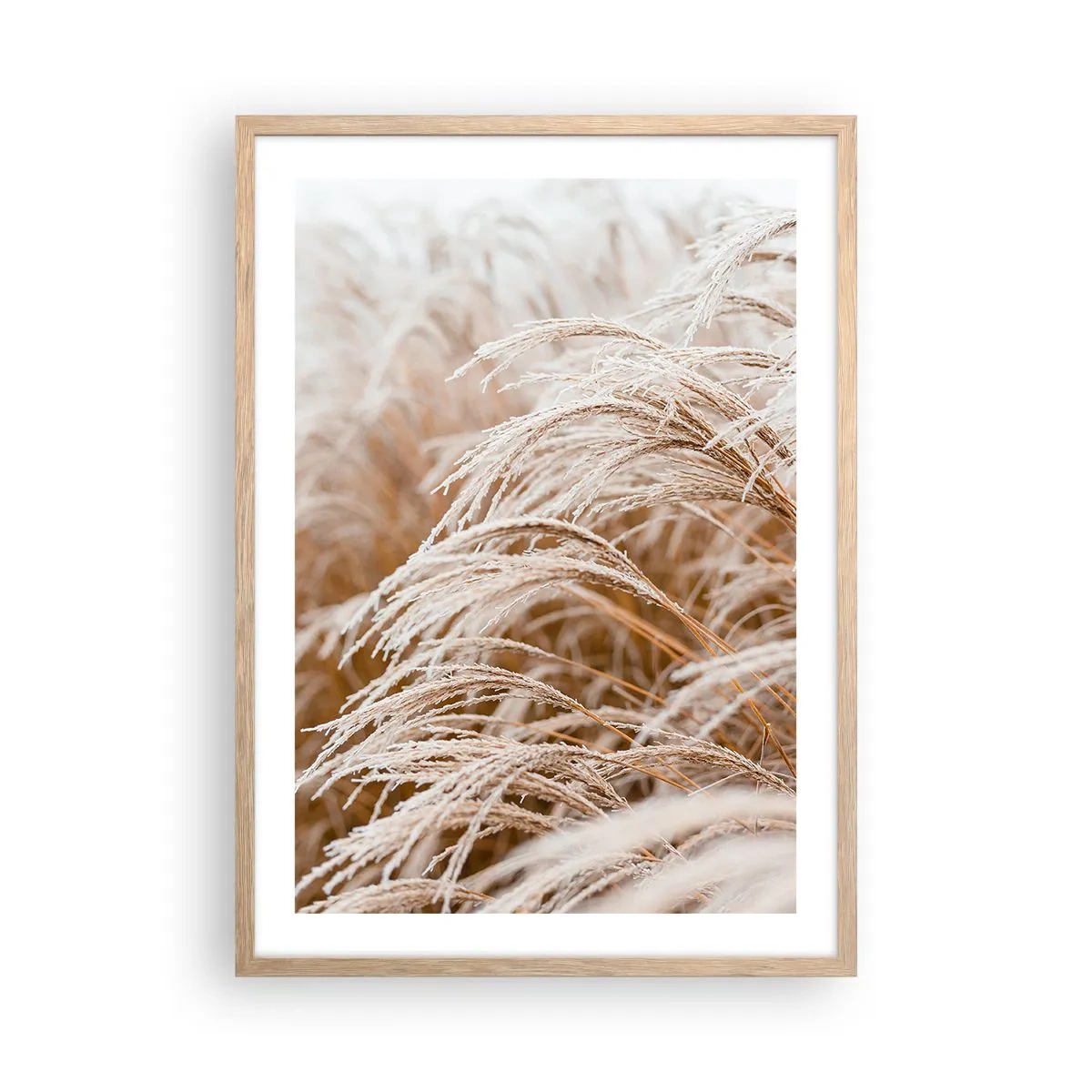 Affiche dans un chêne clair - Poster - Prosternez-vous devant le soleil d'automne - 50x70 cm