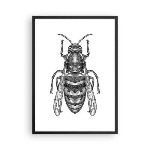 Affiche dans un cadre noir - Poster - Illustration détaillée d'une guêpe - 50x70cm - D'une planète d'insectes - Décoration murale moderne pour le salon et la chambre ARTTOR
