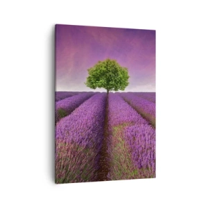 Impression sur toile - Image sur toile - Un champ de lavande avec un arbre solitaire et un ciel violet - 50x70cm - Dans un champs de lavande - Décoration murale moderne pour le salon et la chambre ARTTOR
