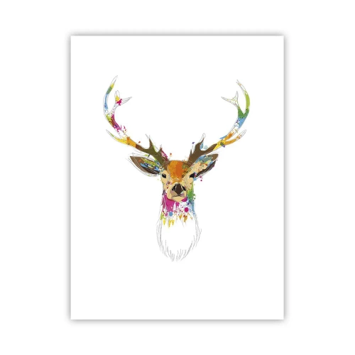 Affiche - Poster - Un cerf doux baigné de couleur - 30x40 cm