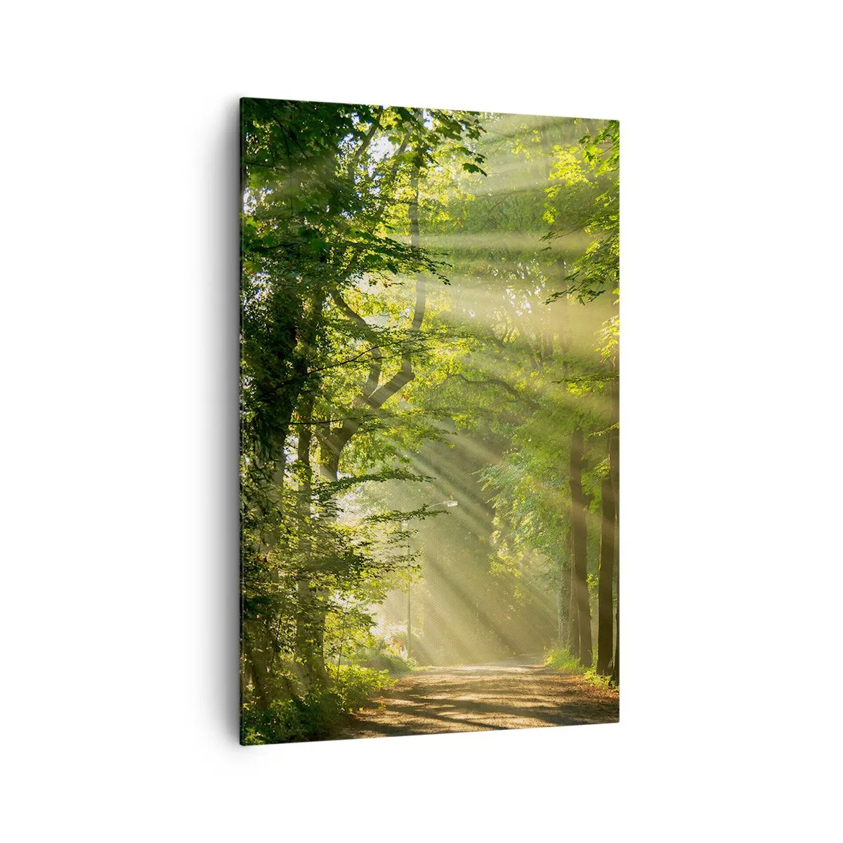 Impression sur toile - Image sur toile - Chemin forestier avec les rayons du soleil qui brillent à travers les arbres - 80x120cm - Moment de forêt - Décoration murale moderne pour le salon et la chambre ARTTOR