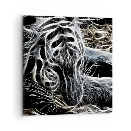 Impression sur toile - Image sur toile - Une étude de la légèreté du chat - 70x70 cm