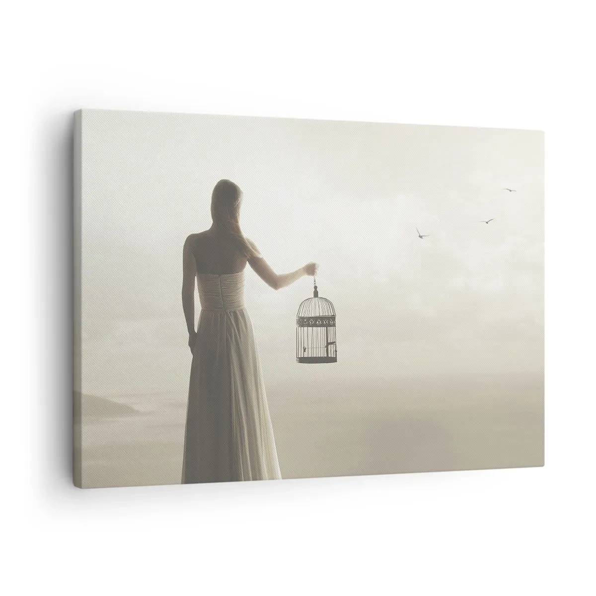 Impression sur toile - Image sur toile - Une femme avec une cage contre un ciel calme - 70x50cm - Soi libre - Décoration murale moderne pour le salon et la chambre ARTTOR