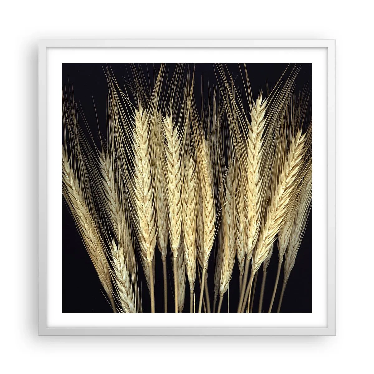 Affiche dans un cadre blanc - Poster - Magie rustique - 60x60 cm