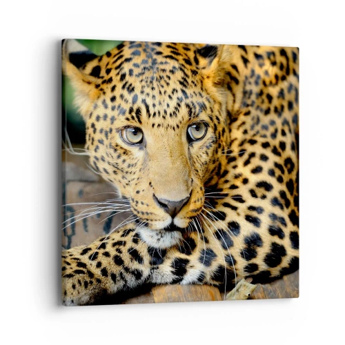 Impression sur toile - Image sur toile - N'aie pas peur, viens - 40x40 cm