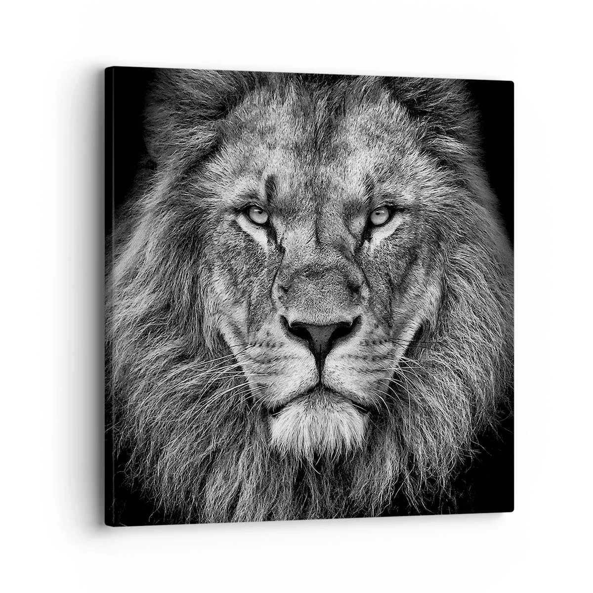 Impression sur toile - Image sur toile - En vêtement de sacre - 30x30 cm