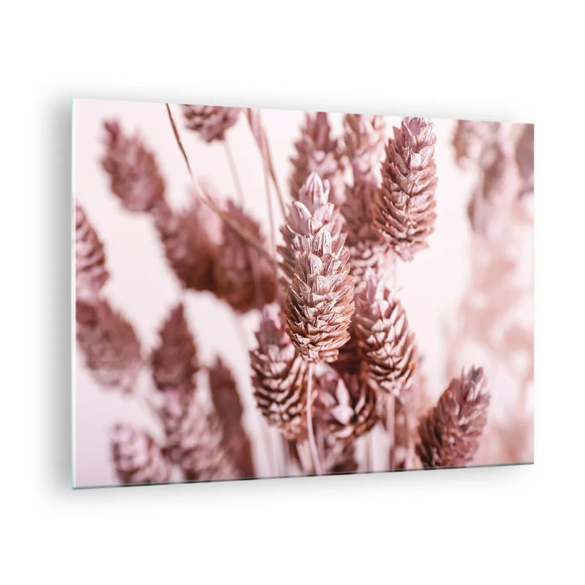 Impression sur verre - Image sur verre - Épis d'herbe séchée dans des tons rose poudré - 70x50cm - Apparemment discret - Décoration murale moderne pour le salon et la chambre ARTTOR