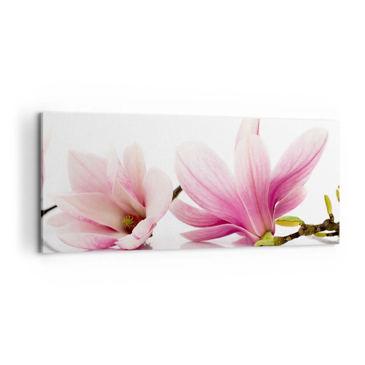 Impression sur toile - Image sur toile - Délicat comme une brise de printemps - 100x40 cm