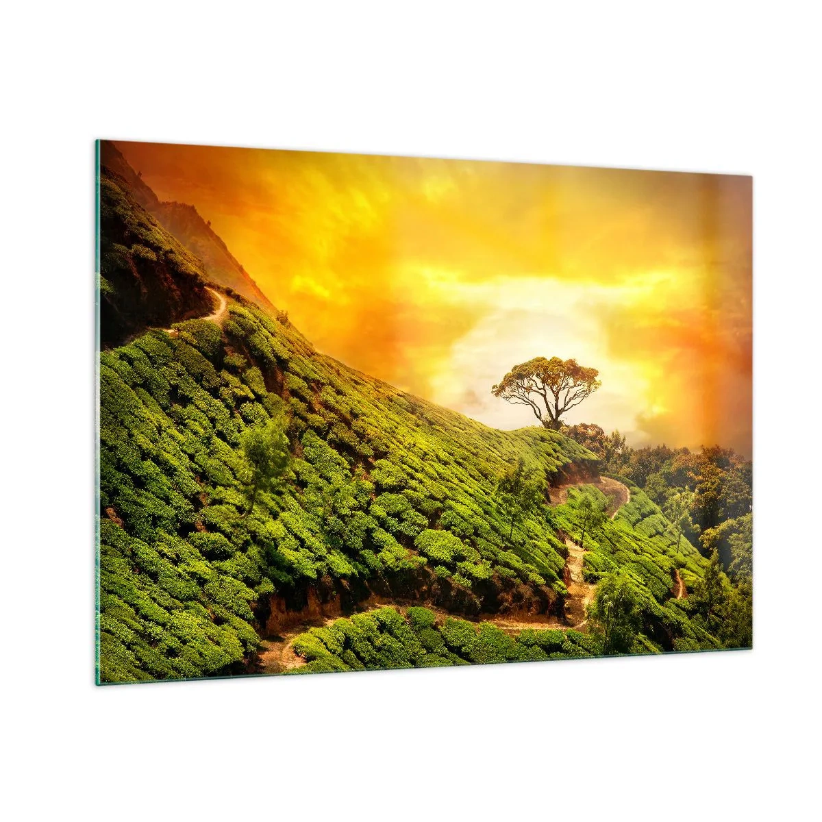 Impression sur verre - Image sur verre - Collines verdoyantes avec un arbre solitaire au coucher du soleil - 100x70cm - Un chemin sinueux, une pente verte - Décoration murale moderne pour le salon et la chambre ARTTOR