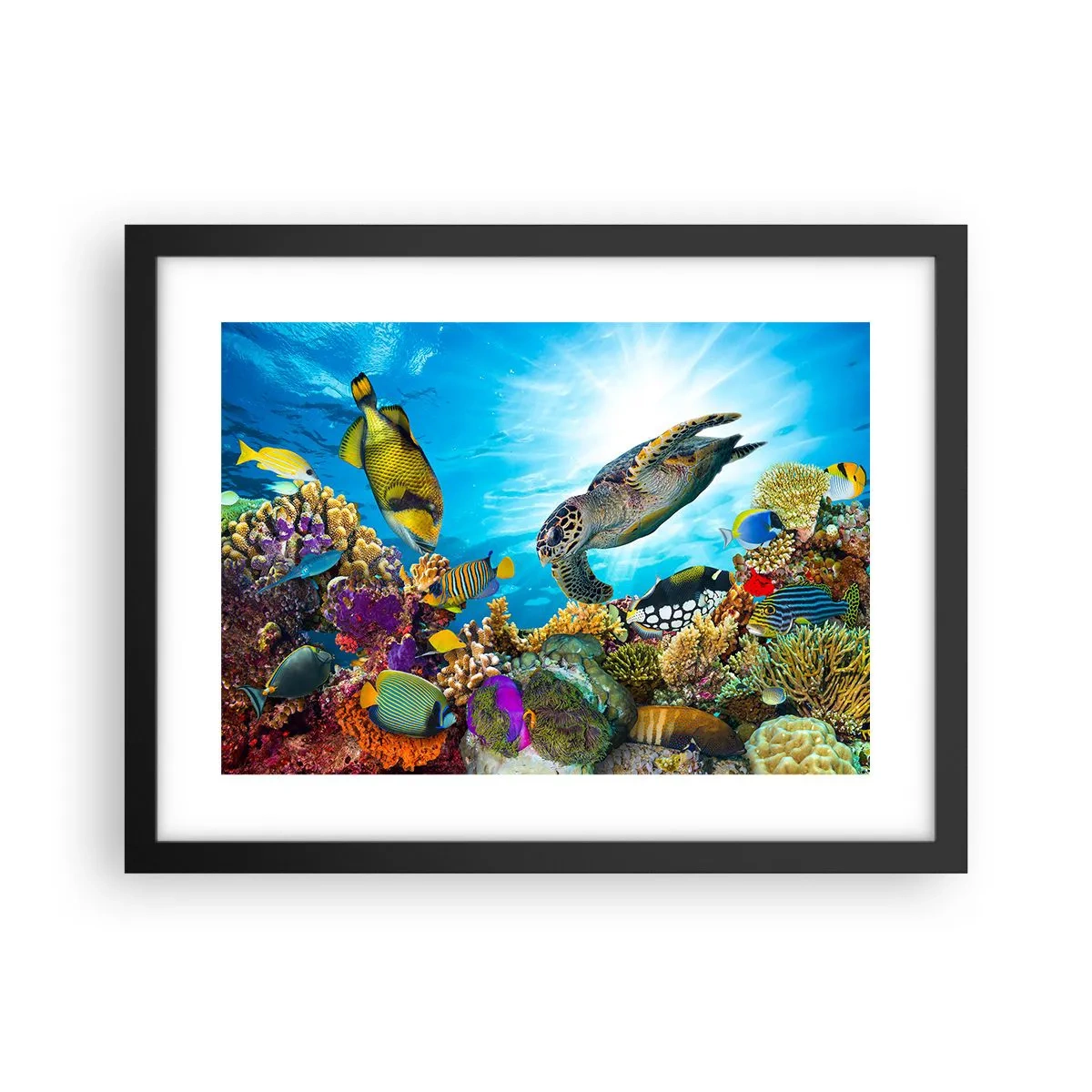 Affiche dans un cadre noir - Poster - Promenade de corail - 40x30 cm