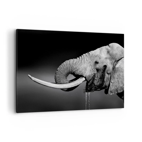 Impression sur toile - Image sur toile - Portrait noir et blanc d'un éléphant de profil - 100x70cm - Oui, c'est bon maintenant - Décoration murale moderne pour le salon et la chambre ARTTOR