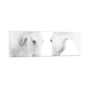 Impression sur verre - Image sur verre - Un portrait minimaliste de deux chevaux blancs - 160x50cm - Serait-ce de l’amitié? - Décoration murale moderne pour le salon et la chambre ARTTOR
