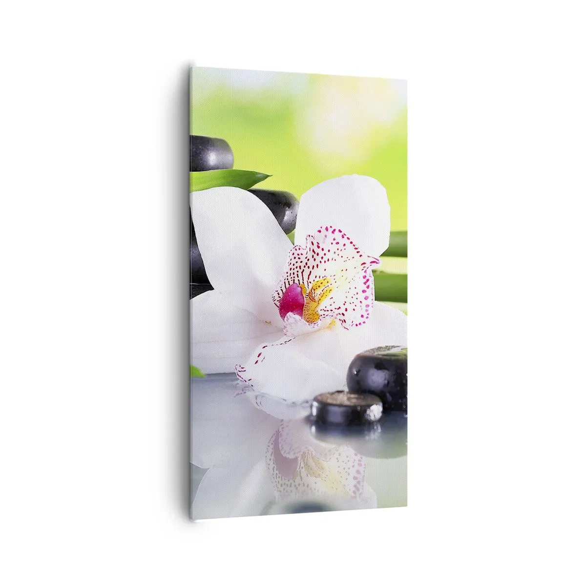 Impression sur toile - Image sur toile - Raffraîchissement de fraîcheur - 65x120 cm