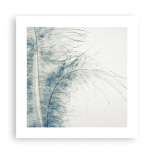 Affiche - Poster - Les sept natures - 40x40 cm