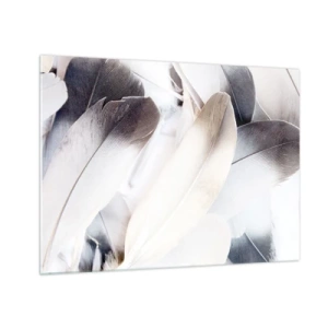 Impression sur verre - Image sur verre - Plumes délicates et légères dans des tons de blanc et de gris - 70x50cm - Presque angélique - Décoration murale moderne pour le salon et la chambre ARTTOR