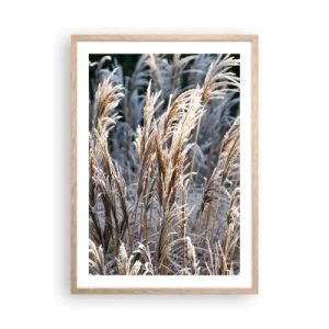 Affiche dans un chêne clair - Poster - Habillé de givre - 50x70 cm