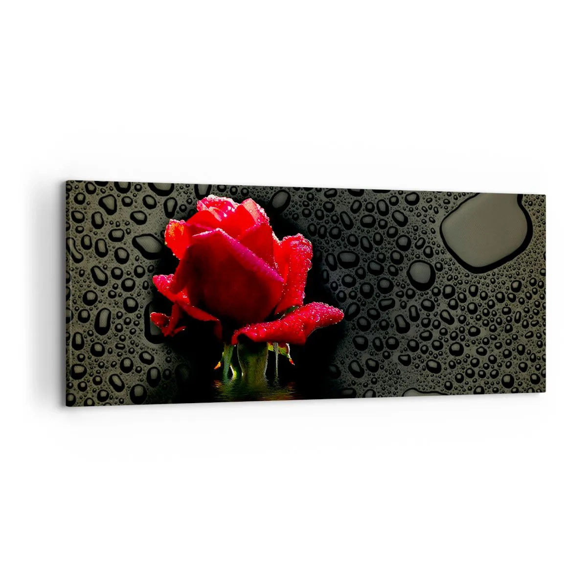 Impression sur toile - Image sur toile - Rose rouge avec des gouttes d'eau sur un fond sombre - 120x50cm - Rouge et noir - Décoration murale moderne pour le salon et la chambre ARTTOR