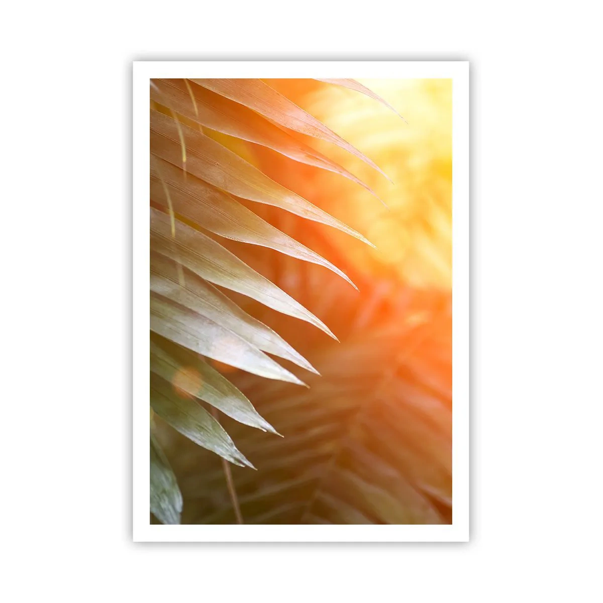 Affiche - Poster - Matinée dans la jungle - 70x100 cm
