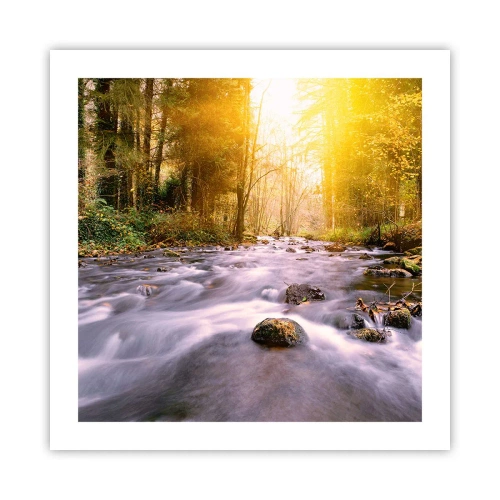 Affiche - Poster - Malachite dans un cadre argent et or - 50x50 cm