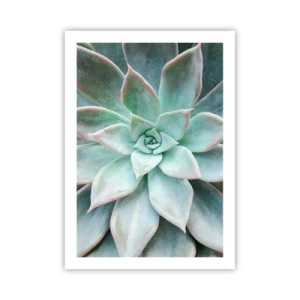 Affiche - Poster - Gros plan des feuilles symétriques d'une succulente dans des tons de vert. - 50x70cm - Le coeur du désert - Décoration murale moderne pour le salon et la chambre ARTTOR