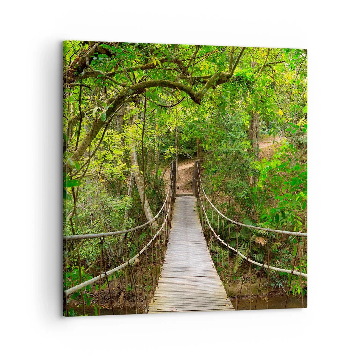 Impression sur toile - Image sur toile - Parce qu'il y a une plante grimpante dans le jardin - 50x50 cm