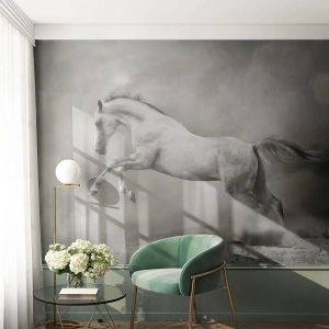 Papier peint sur mesure Premium Canvas - Entre le réveil et le sommeil - Animaux, Cheval, Nature