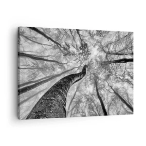 Impression sur toile - Image sur toile - Perspective d'arbres dans une forêt vue d'en bas en nuances de gris - 70x50cm - Course vers la lumière - Décoration murale moderne pour le salon et la chambre ARTTOR