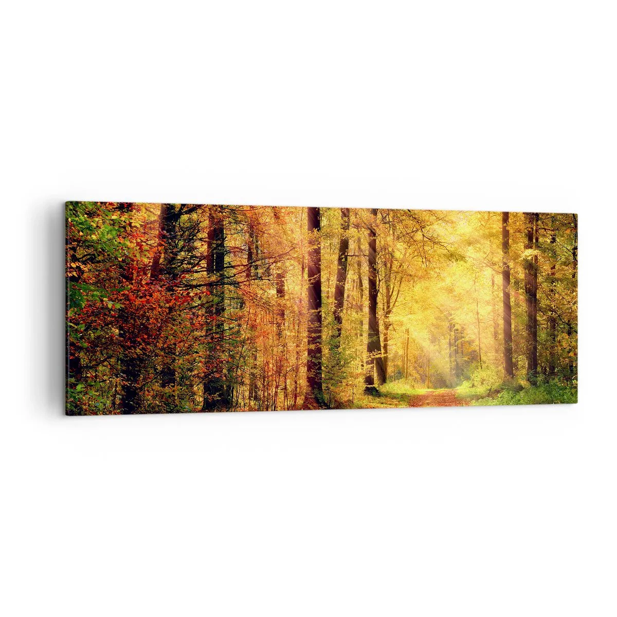 Impression sur toile - Image sur toile - Un chemin forestier entouré d'arbres dorés et verts - 140x50cm - Silence d'or en forêt - Décoration murale moderne pour le salon et la chambre ARTTOR