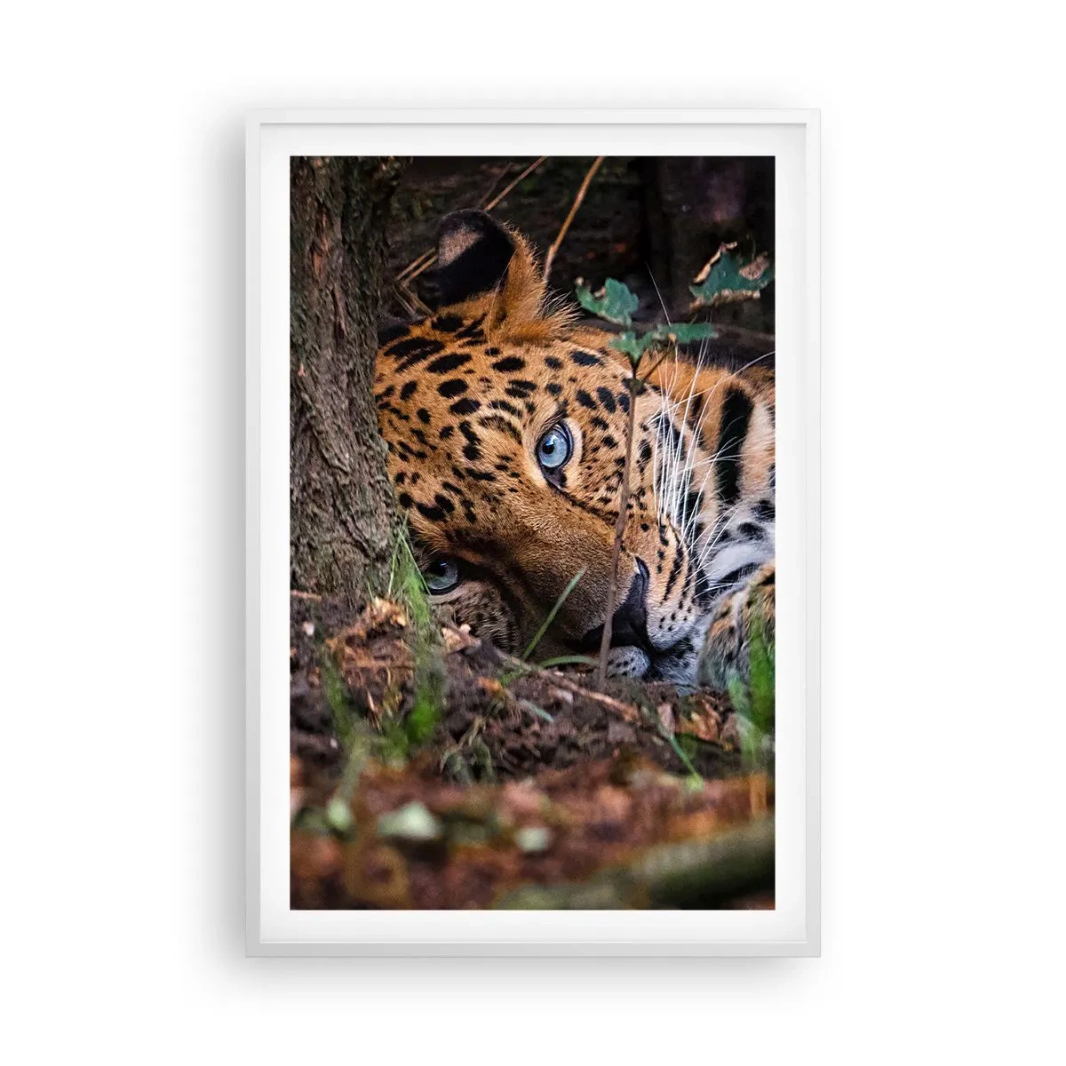 Affiche dans un cadre blanc - Poster - Fais-moi confiance - 61x91 cm