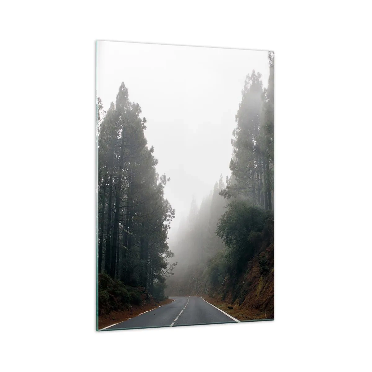 Impression sur verre - Image sur verre - Conte de la forêt magique - 70x100 cm
