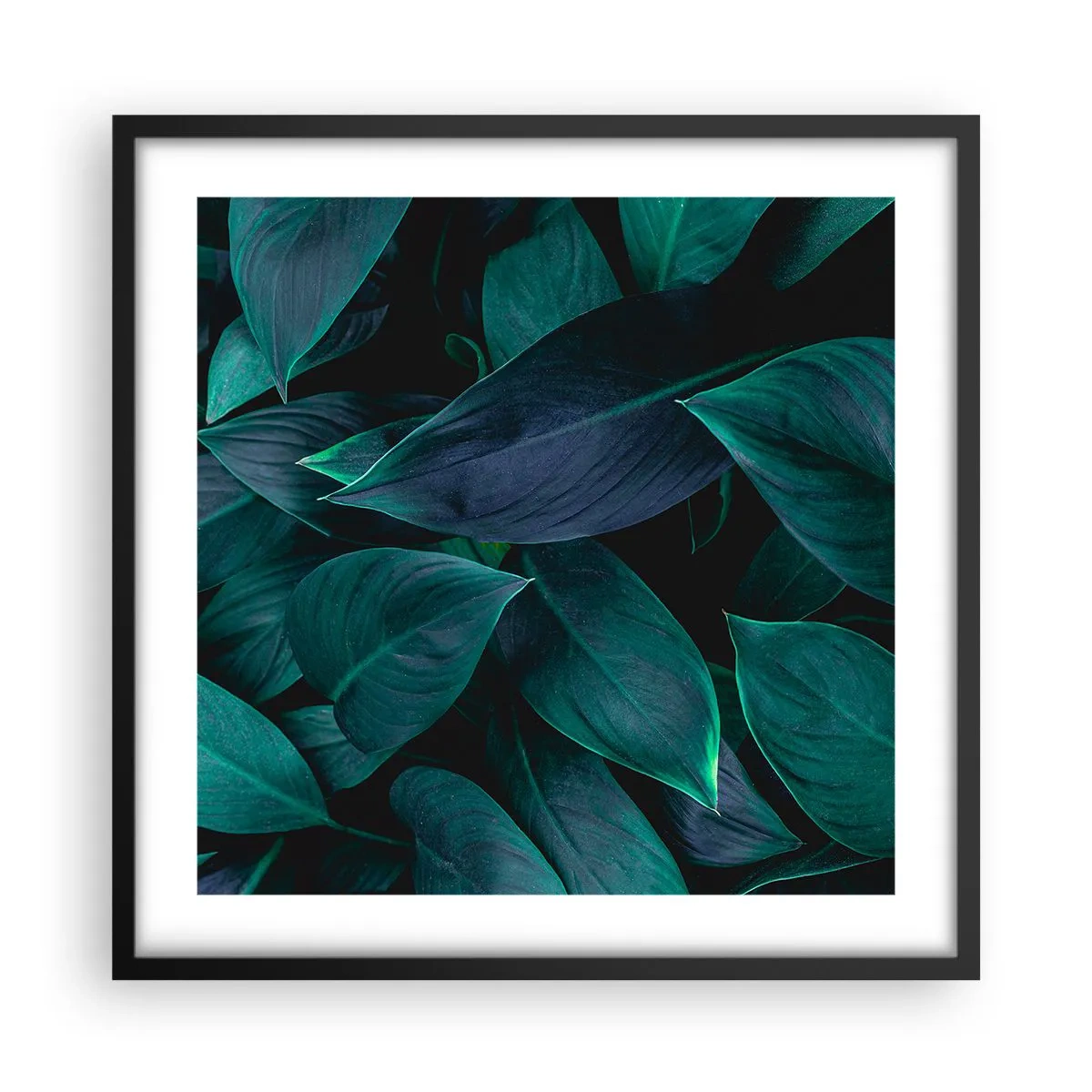 Affiche dans un cadre noir - Poster - le vert lui-même - 50x50 cm