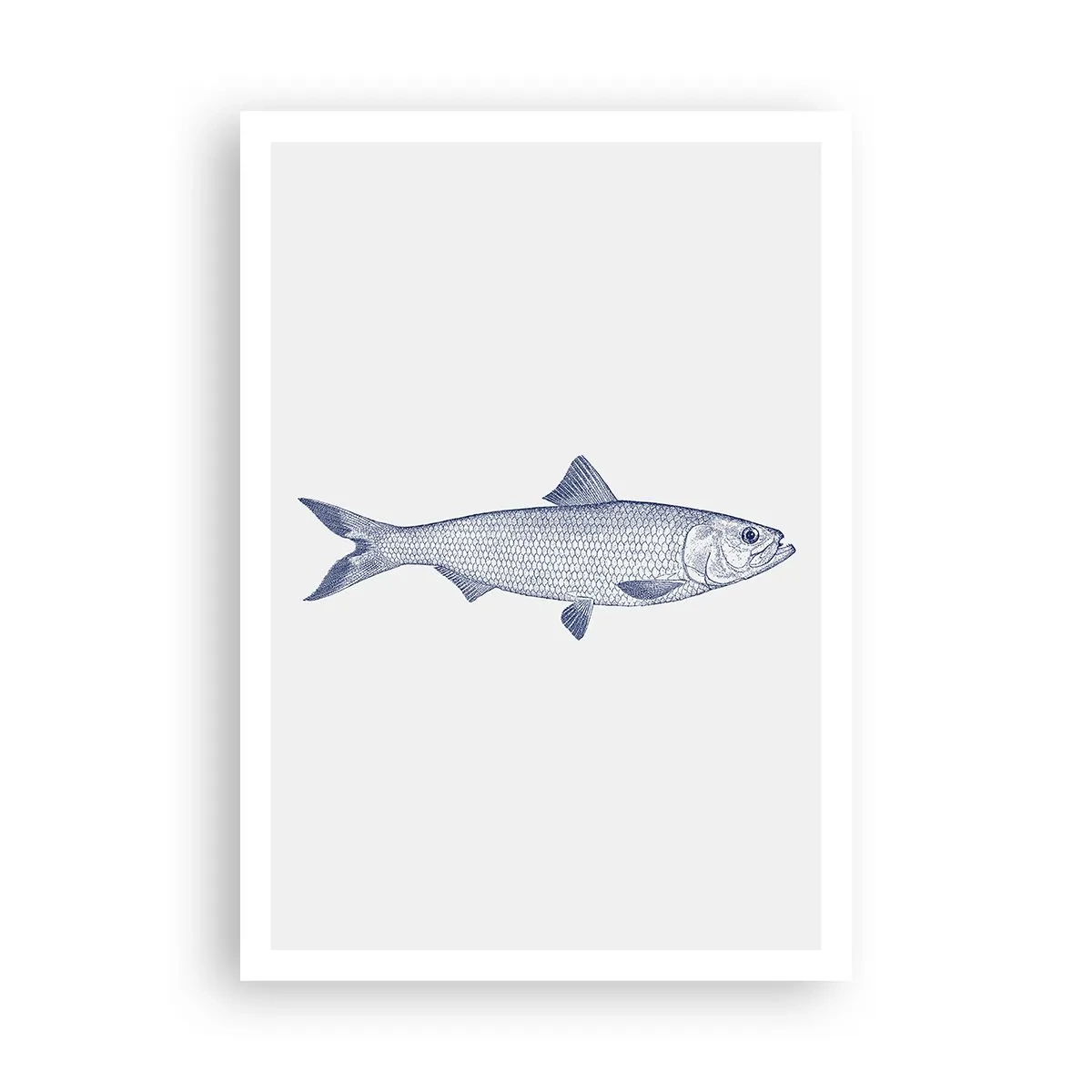 Affiche - Poster - Salutations des mers du nord - 70x100 cm