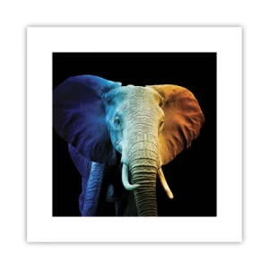 Affiche - Poster - Excentrique, pas bizarre - 30x30 cm