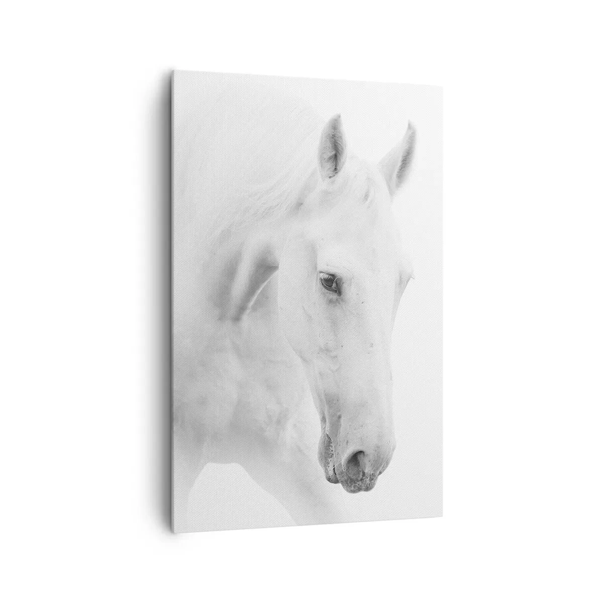 Impression sur toile - Image sur toile - Un portrait minimaliste de deux chevaux blancs - 80x120cm - Serait-ce de l’amitié? - Décoration murale moderne pour le salon et la chambre ARTTOR