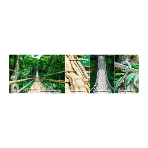 Échantillon de Papier Peint Autocollant Deluxe Sticker - Pont de singe en pleine nature - Paysage, Jungle, Philippines - 100x30 cm