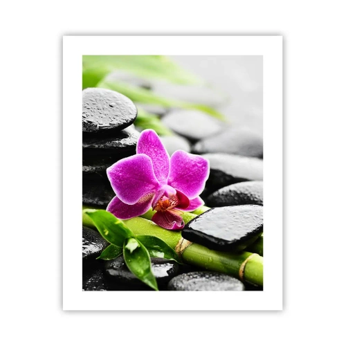 Affiche - Poster - Dans un équilibre de calme - 40x50 cm